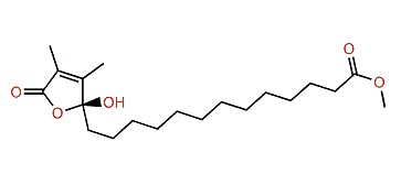 13-(2-Hydroxy-3,4-dimethyl-5-oxo-2,5-dihydrofuran-2-yl)-tridecanoic acid methyl ester